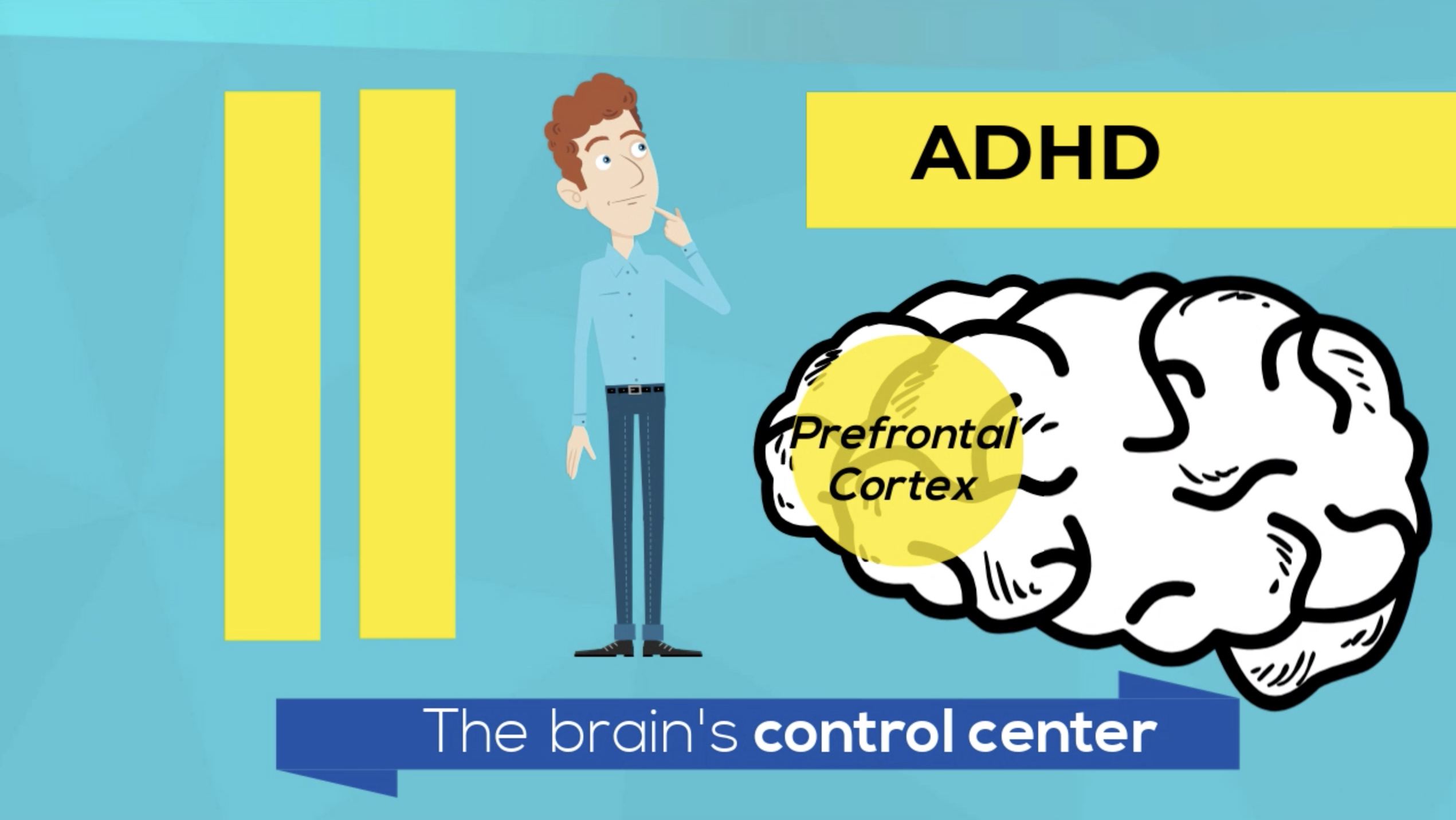 Infographics: Explaining the ADHD Brain