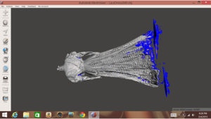 Import Scan data from 3-D Scanner into MeshMixer (or equivalent geometry-fixing software).