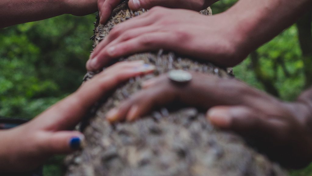 People with hands on trunk of tree