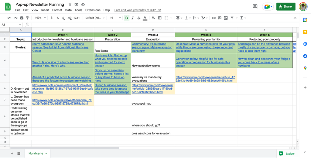 Screenshot of curation spreadsheet.