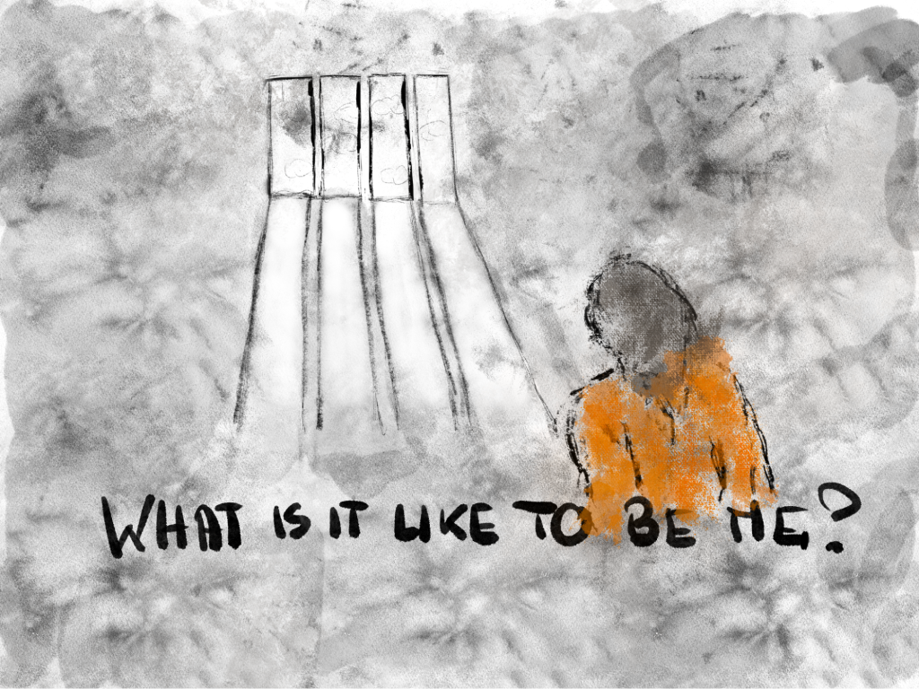 An illustration shows an incarcerated person in his cell looking through the window, and the project's name "What is it like to be me/you?