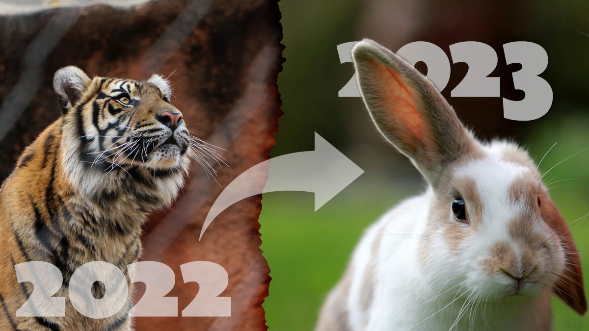 2022: Year of the Tiger to 2023: Year of the Rabbit