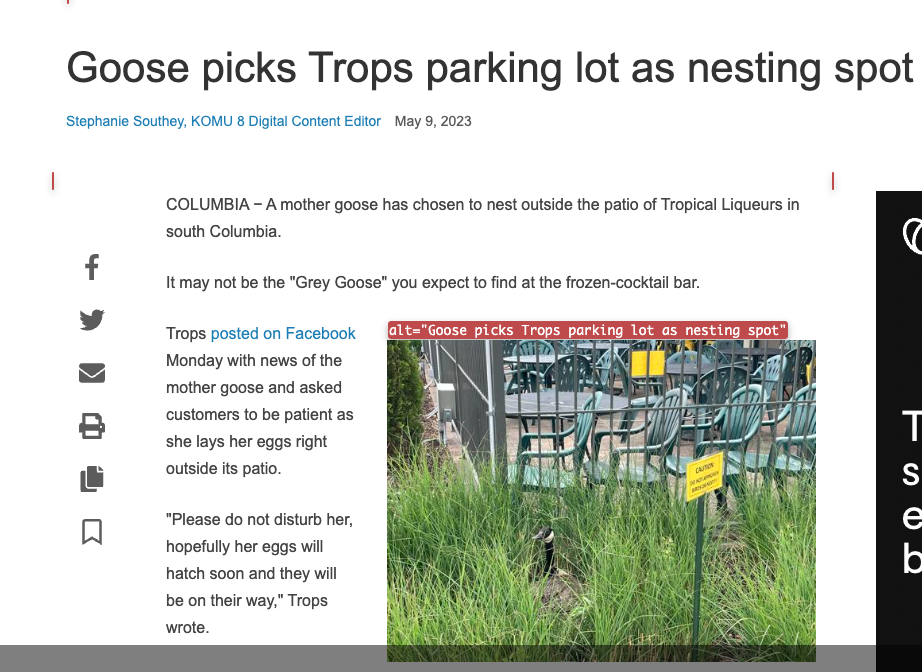A screenshot of a KOMU story with the headline "Goose picks Trops parking lot as nesting spot," shows unhelpful alt text labeling the photo of the goose.