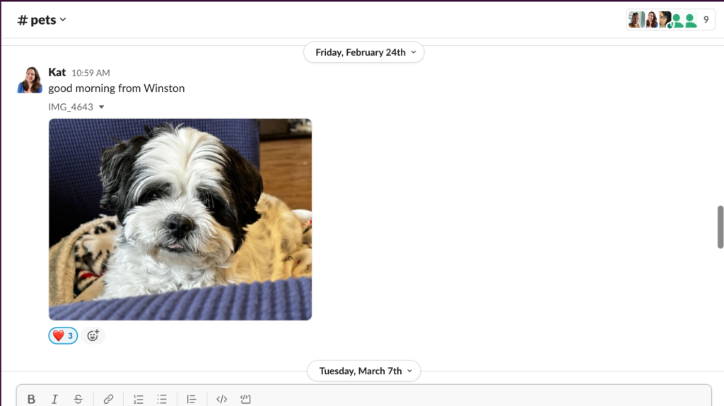 Screenshot from Slack meeting. Kat Duncan has posted a photo of her dog Winston, and written the line, "Good morning from Winston."