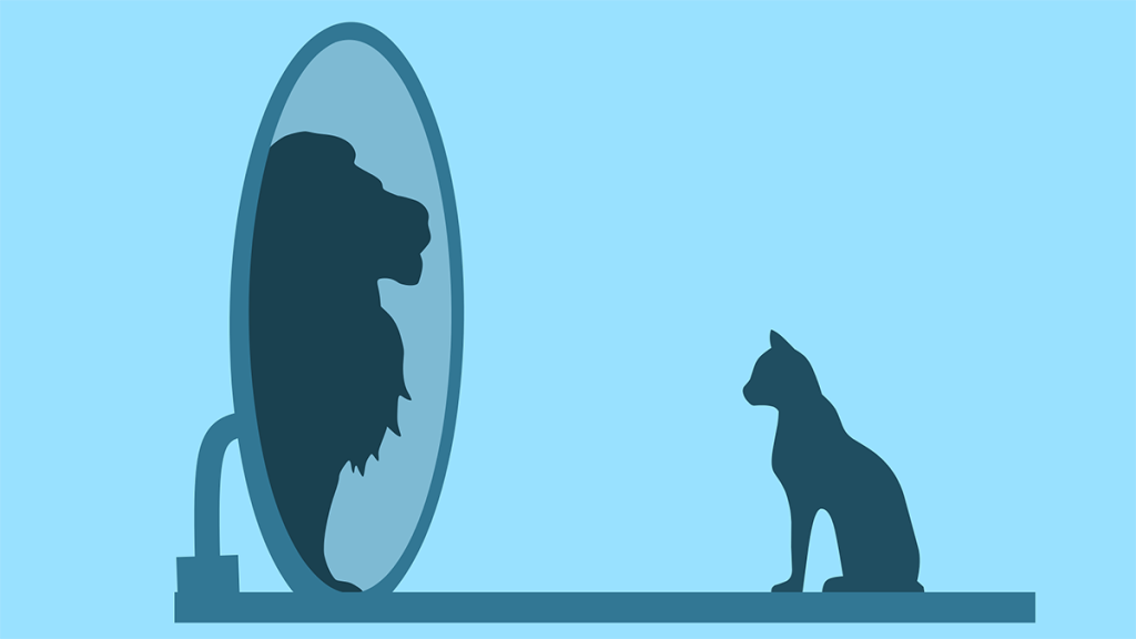 House cat looks in a mirror and sees a lion