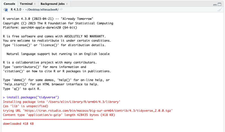 The console tab is usually at the bottom of your Rstudio window. You can type directly into the console tab. Make sure your package names are in quotations