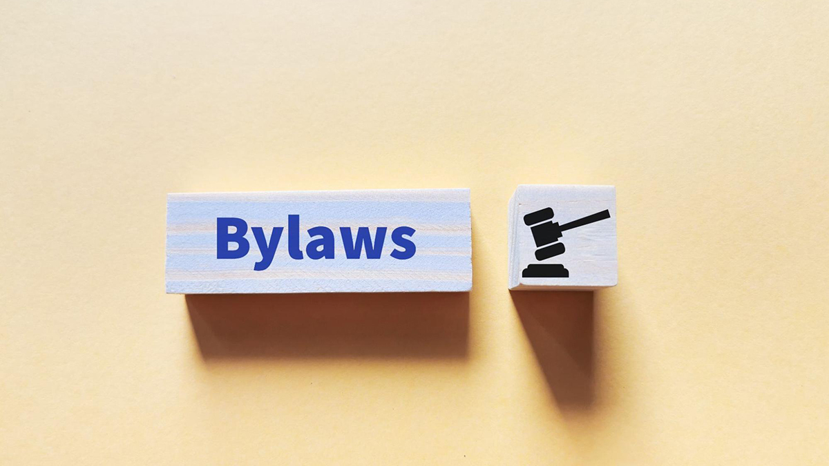 Block labelled Bylaws next to a block with an icon of a legal gavel.