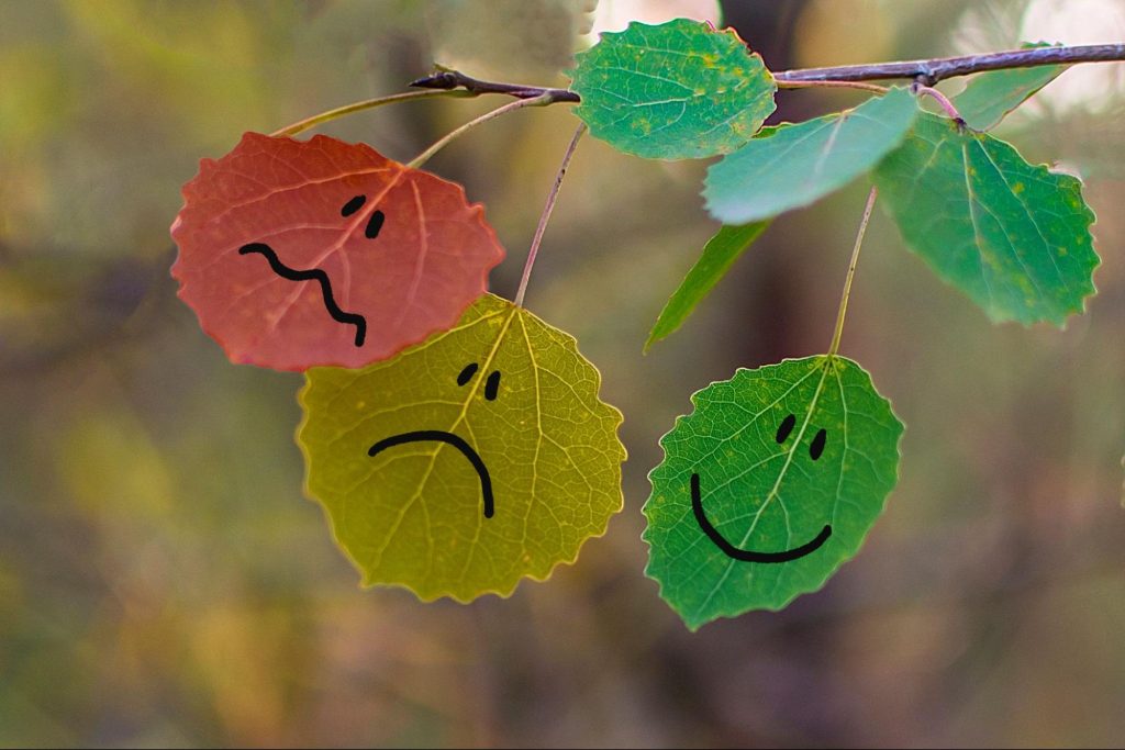 Green leaf with a happy face. Yellow-green leaf with a frowny face. Red-orange leaf with a wavy mouth line.