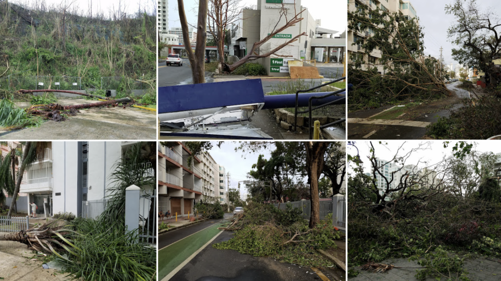 A collage of images of the impact of Hurricane María the city of San Juan, Puerto Rico on Sept. 21st, 2017. Photos: María Arce
