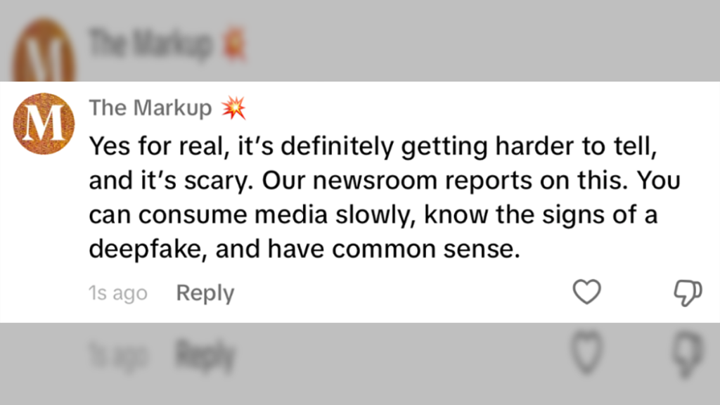 Screenshot from comments on The Markup's TikTok account