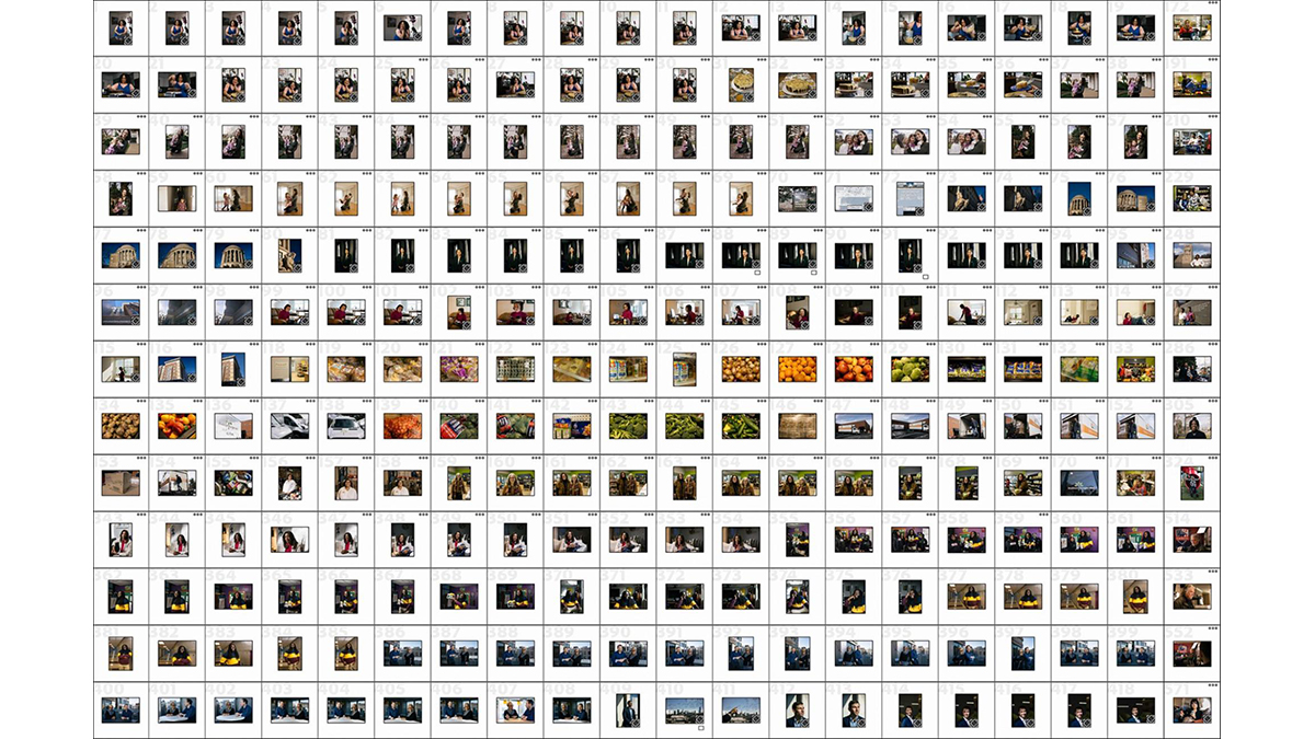 Screenshot of grid of photos in archive.