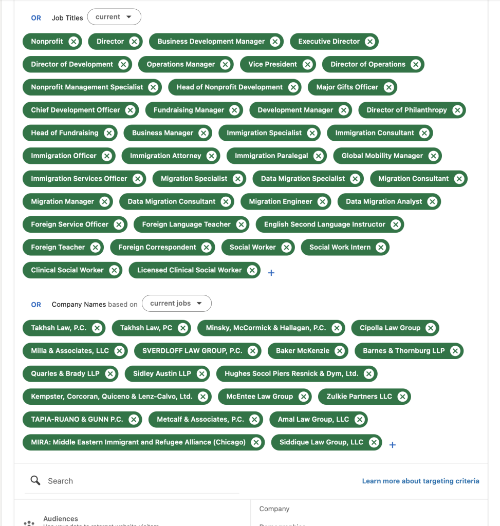 The job titles and demographics of the narrowed audience decided by Borderless.