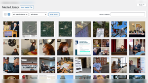 Screenshot of a WordPress Media Library