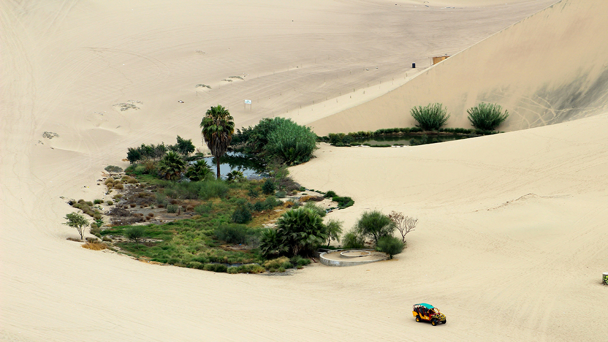 An oasis in the middle of the desert.