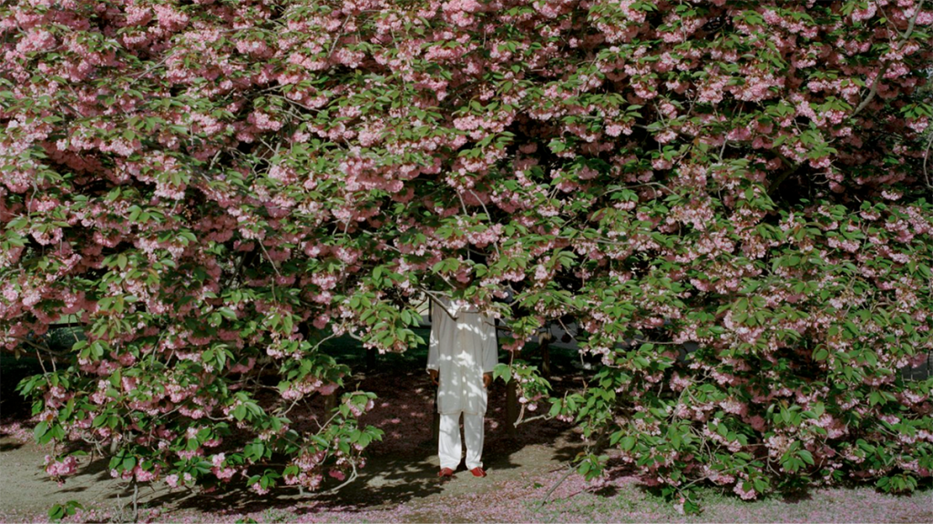 Anonymous person in a shaded hedge