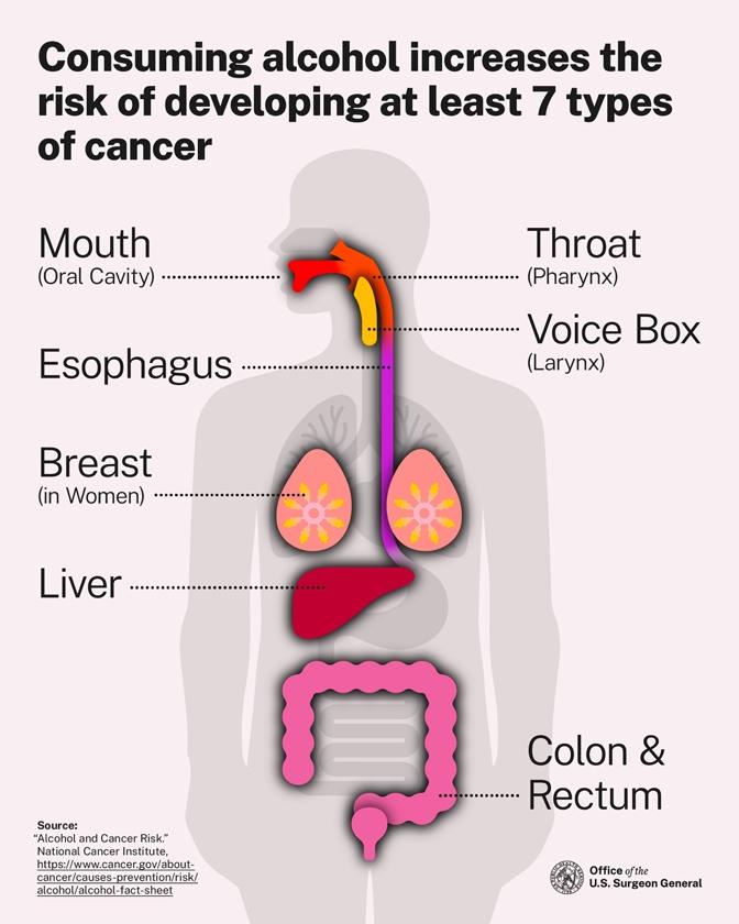 Consuming alcohol increases the risk of developing at least 7 types of cancer