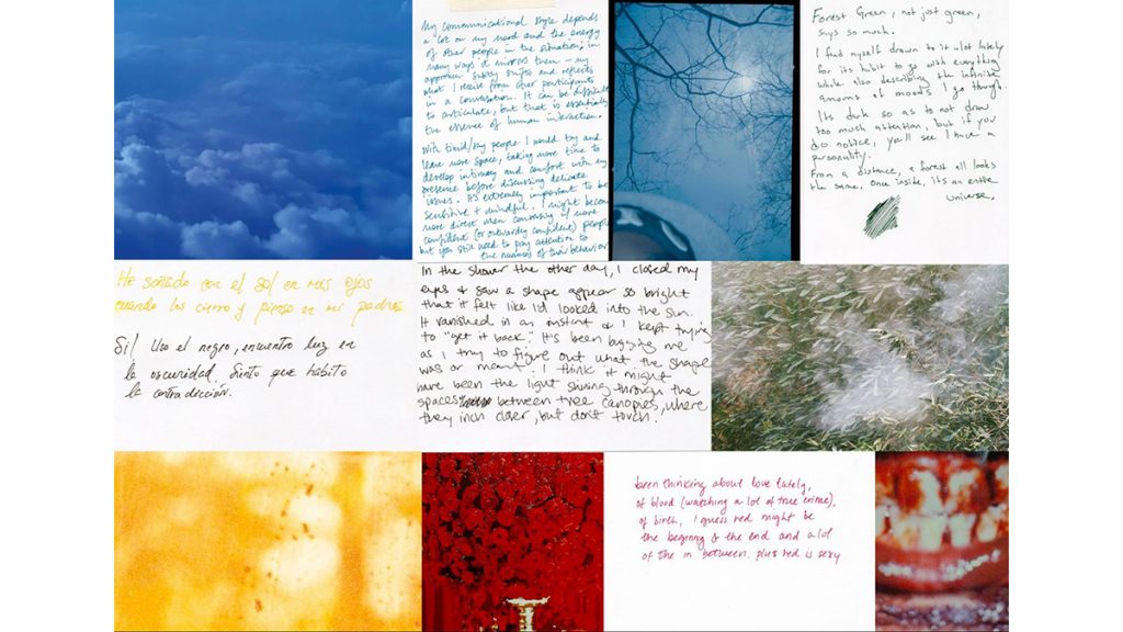 A mosaic of color studies/responses by attendees at the Enter/Exit community event at Plena Productions. Photos: Sarah Blesener and Jenny Jacklin Stratton