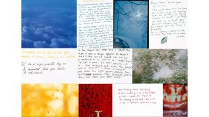 A mosaic of color studies/responses by attendees at the Enter/Exit community event at Plena Productions. Photos: Sarah Blesener and Jenny Jacklin Stratton