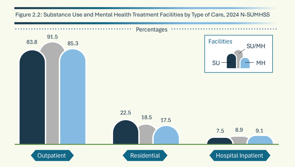 2024 National Substance Use and Mental Health Services Survey (N-SUMHSS)
