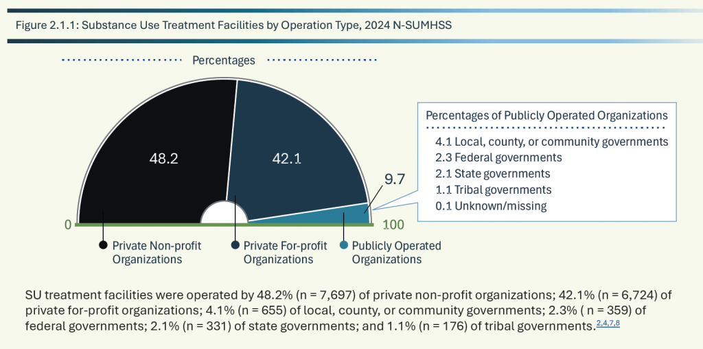 2024 National Substance Use and Mental Health Services Survey (N-SUMHSS)