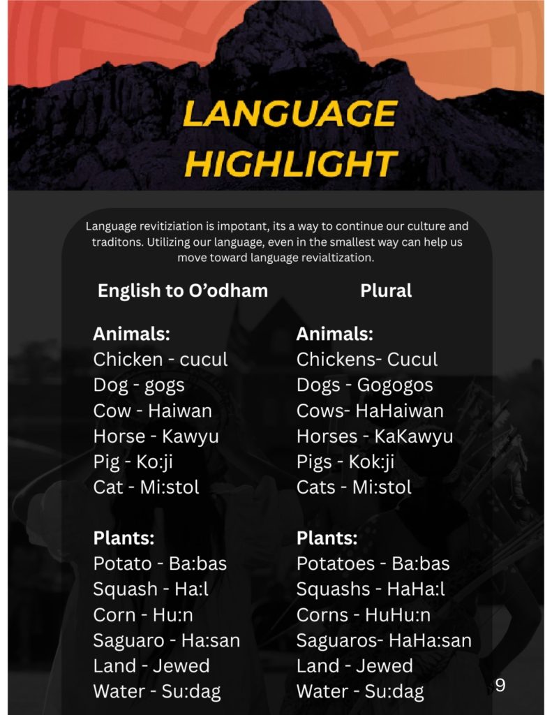 An English to O'odham glossary